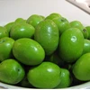 fresh olives for sale