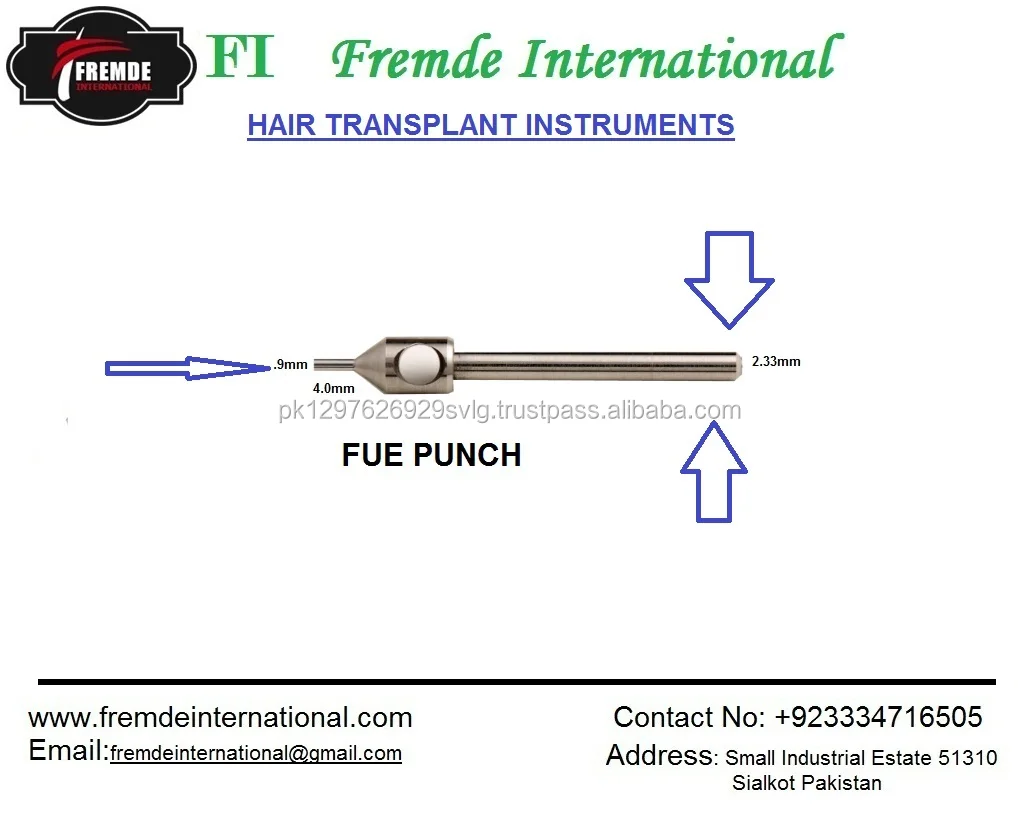 FUE PUNCH.jpg