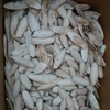 Raw material for medicine/Cuttlebone/ Cuttlefish bone for pet birds feed (PHOEBE)