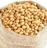 Soybeans High Nutrition Yellow Soy Beans FOR SALE