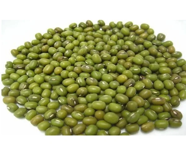 Großhandel Premium Landwirtschaft Organisch Getrocknete Grün Mung Bean