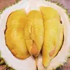 Artificial Durian Tree Fresh Fruit Big Tree for hotel Decoration