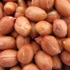 /product-detail/we-can-supply-peanuts-kernels-and-peanut-butter-and-more-related-peanuts-best-price--50041301820.html