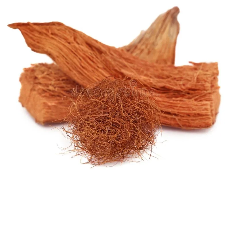 椰子纤维/椰子椰壳纤维越南 20% moure