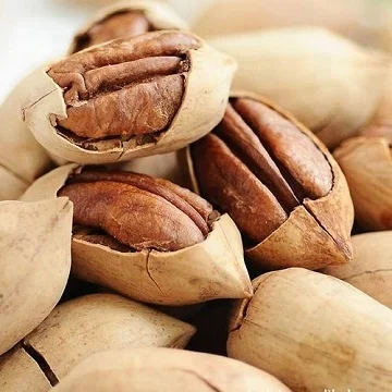 high quality wholesale pecan nuts for sale