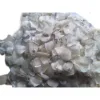 DRIED FISH SCALES for extracting collagen / Dried Red tilapia scales for sales from Vietnam