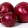 Onion From India