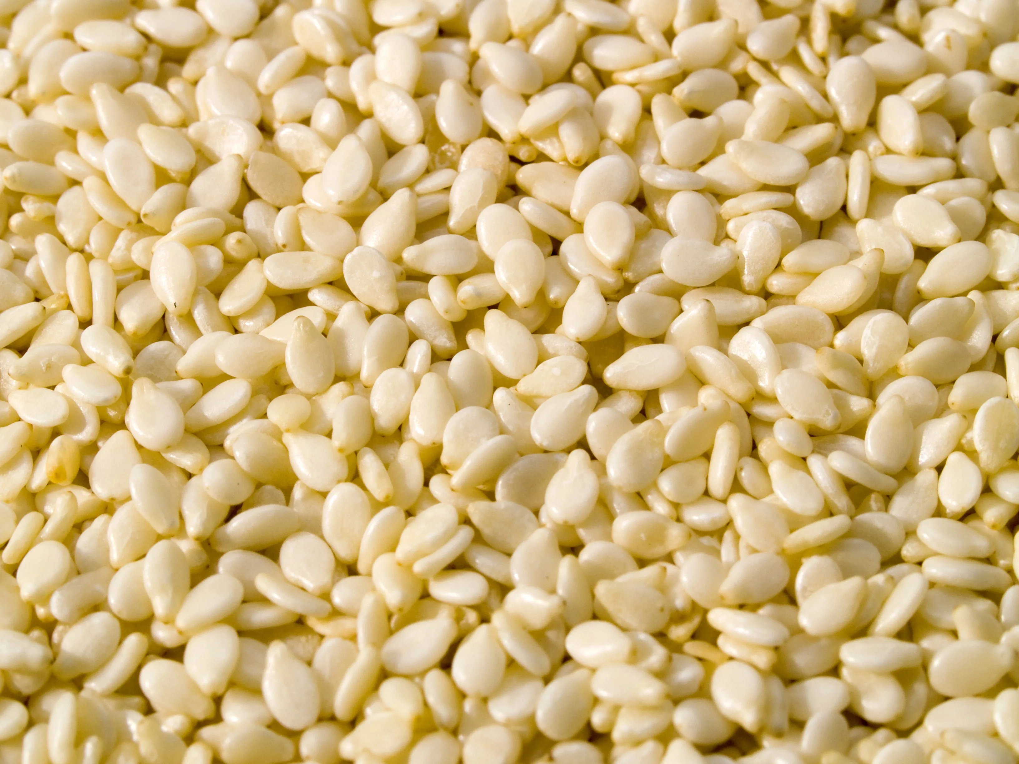 Sesame Seeds Buy White Sesame Seeds,Ethiopian Sesame Seed,Sudan