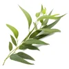 Eucalyptus Essential Oil In Bulk