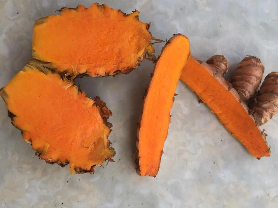 Fresh Black Turmeric Vietnam Origin Buy Fresh Turmeric,Black