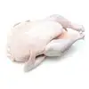 /product-detail/bulk-halal-fresh-frozen-processed-chicken-feet-paws-wings-62003687051.html