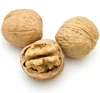 High quality whole walnut in shell - walnut kernels