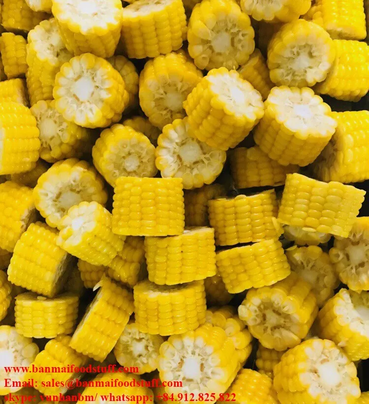 Vietnam High Quality Frozen Sweet Corn Cobs Buy Frozen Sweet Corn