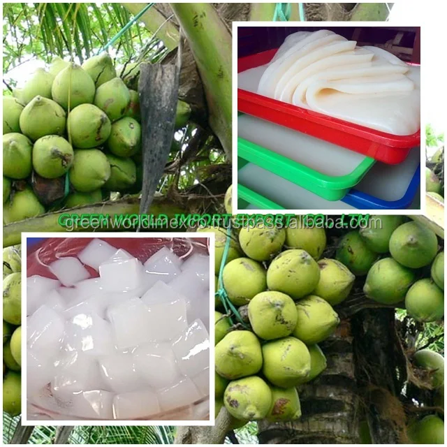 Nata De Coco - Buy Nata De Coco,Other Products,Coconut Product Product ...