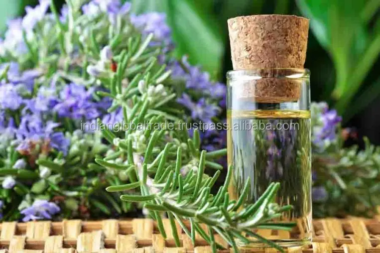 High Quality Rosemary (rosmarinus Officinalis L) Scented Oil In Bulk
