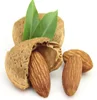 100% Quality Raw Almond Nuts, Sweet Almond and Almond Kernel 2019 crop for Sale
