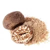 Natural Seasoning Nutmeg For Sale