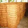 THE BEST COCONUT THREAD IN VIETNAM
