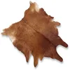Donkey hides/Wet Salted & Dry salted Donkey Hides and Cow Hides, cattle Hides, Animal skin