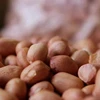TJ peanuts 50/60 Bulk export of high quality ORIGIN INDIA FROM NIK-MAY EXPORTS LLP