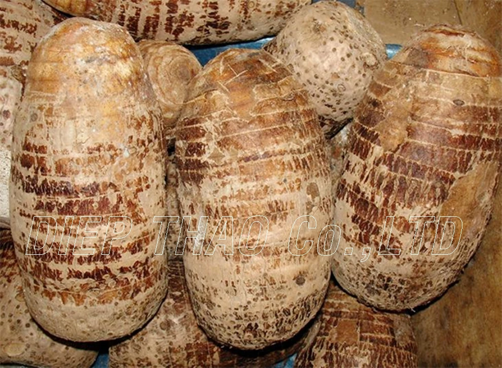 Fresh Taro/ Best Price Fresh Taro Root Buy Taro Powder,Fresh Taro