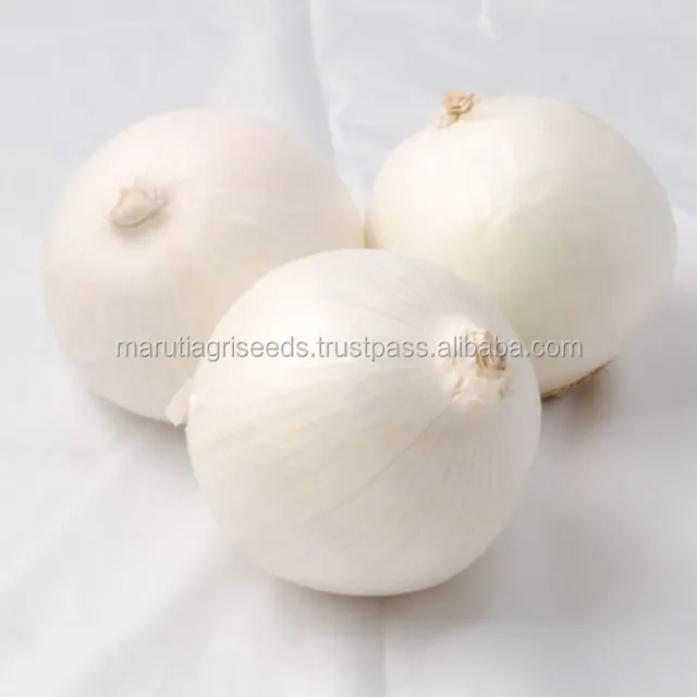 green bunching onion
