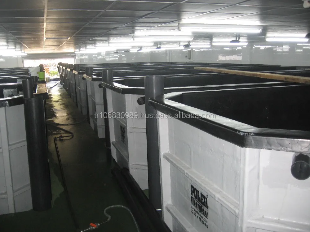Frp Raceway Fish Rearing Tank For Ras Aquaculture - Buy Recirculating ...