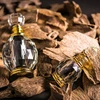 Agarwood/Aloeswood/Eaglewood/Gaharu/Oud, Oudh Oil 100% high quality (Sweet Smell)