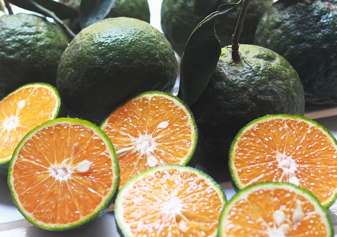 Green Orange Export For Sale High Quality With Best Price For You ...