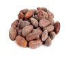 Dried Cocoa/ Cacao/ Chocolate beans