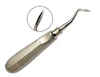 High Quality Dental Stainless Steel Root elevator wholesale price