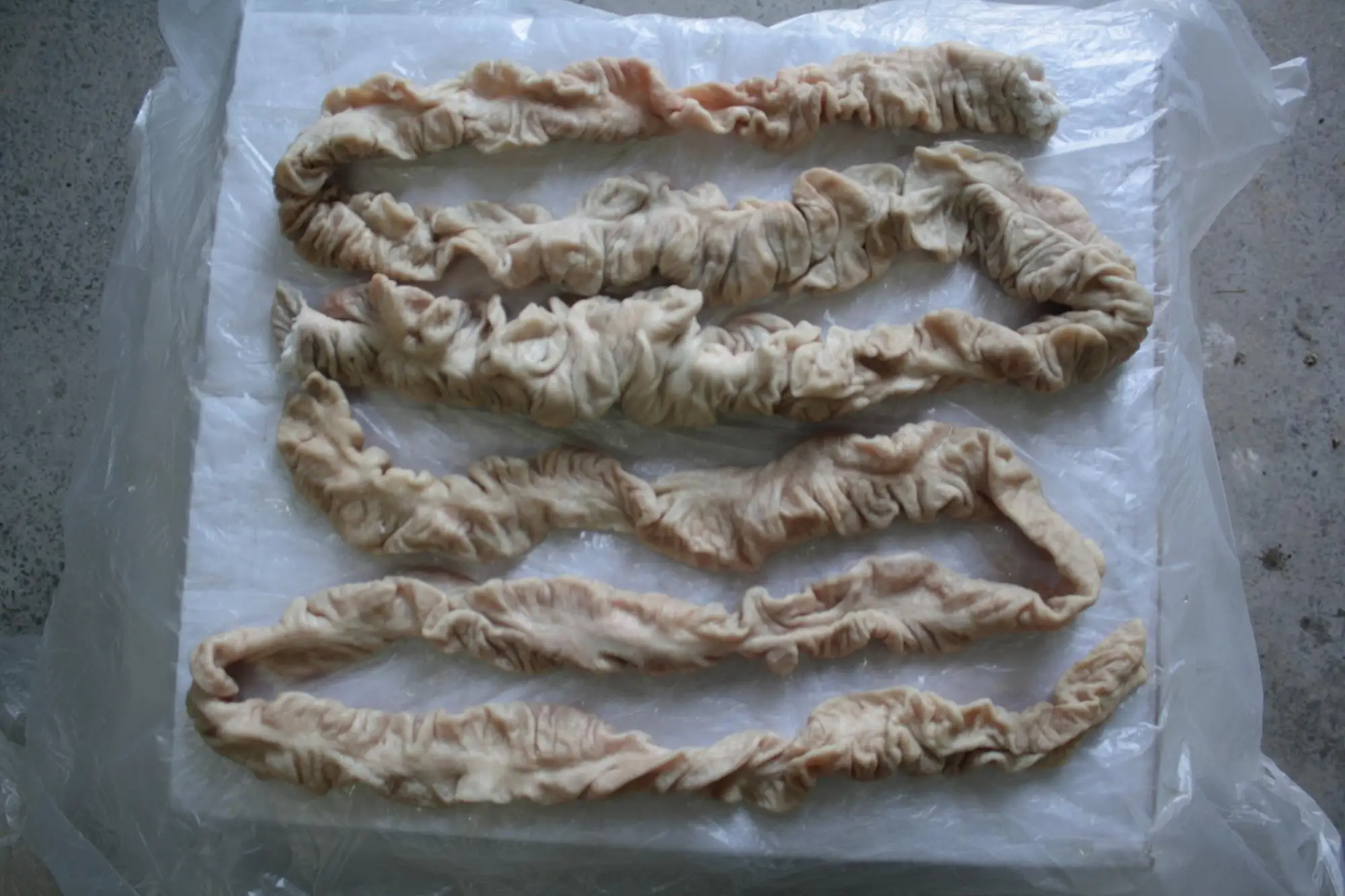 Pork Chitterling,Large Intestine,Pig Casing,Small Casings Buy Frozen