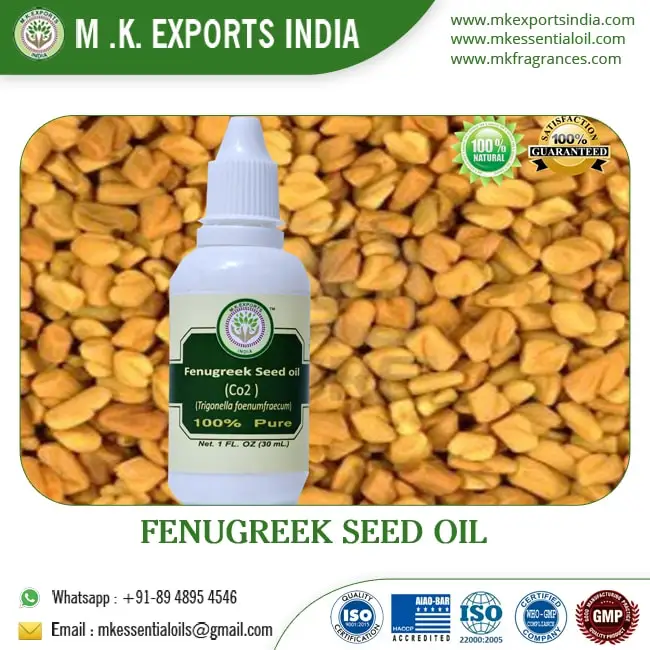 Fenugreek Seed Oil Cvs at Jason Silva blog