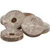 BEST SELLING VIETNAM COCO PEAT PELLET // Ms. Annet +84973249162