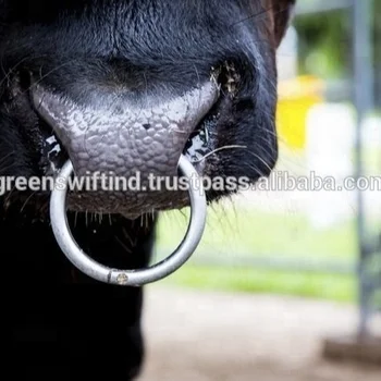 Calf Nose Weaning Rings - Buy Nose Ring For Calf,Cattle Nose Ring ...