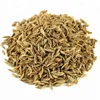 Cumin seed