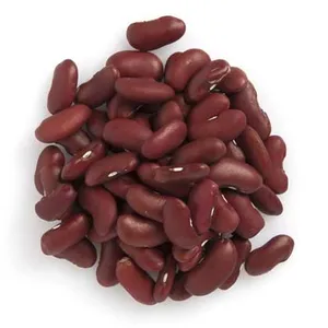 wild harvest organic light red kidney beans 1lbs
