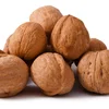 walnuts Dried Walnuts In Shell walnuts Kernels cheap price