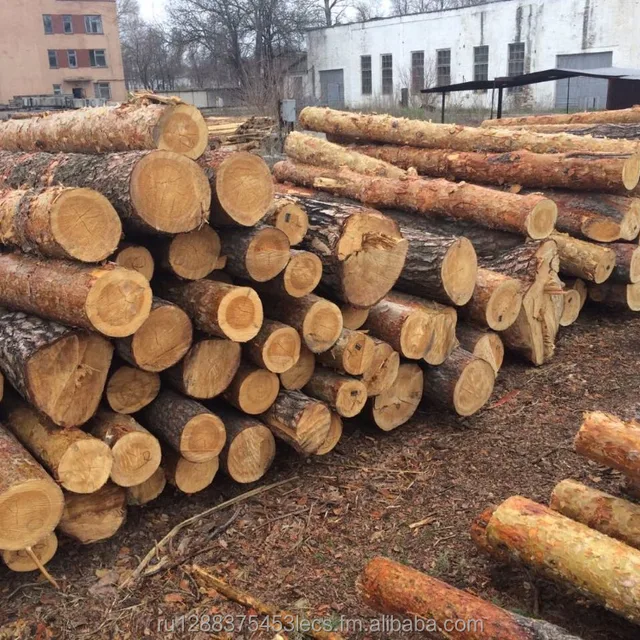 wood , birch, larch, pine