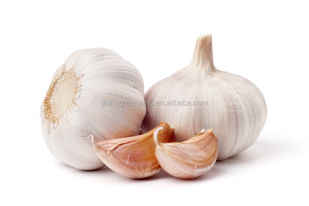 Bulk Fresh Garlic