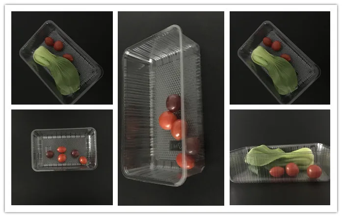Disposable PET clear plastic fruit strawberry blueberry packaging container
