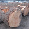 Wood Logs /Birch / Oak / Ash / Alder / Poplar / Pine / Spruce Firewood