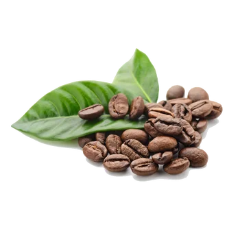 Price Of Arabica Coffee Bean For Sale - Buy Price Of ...