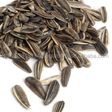 Семена Подсолнечника Купить Для Посадки Сорт Грандис