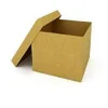 BROWN CUBOID PAPERBOARD MONO PACKAGING CARTON