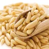 Wild pine nuts ,Turkish Pine Nuts