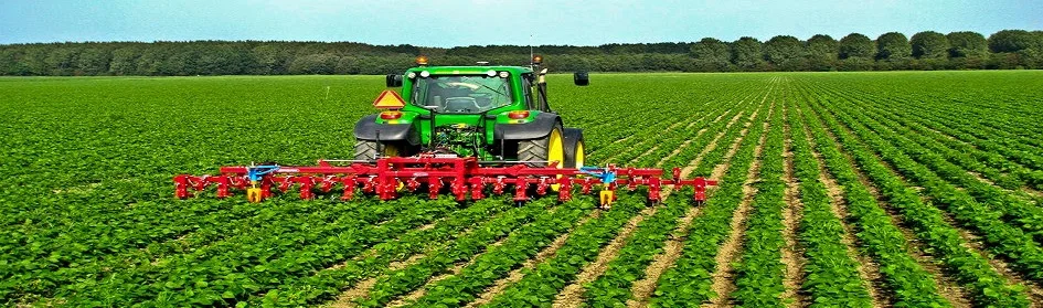 Planet Israel Farms (2).jpg