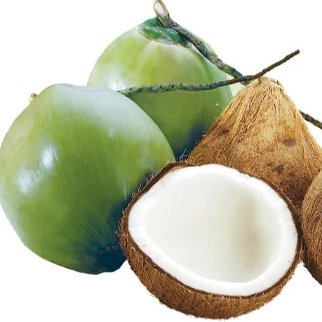 all industries  agriculture  fruit  fresh fruit  fresh coconuts