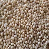 100% Natural Whole Urad Dal Exporter In India