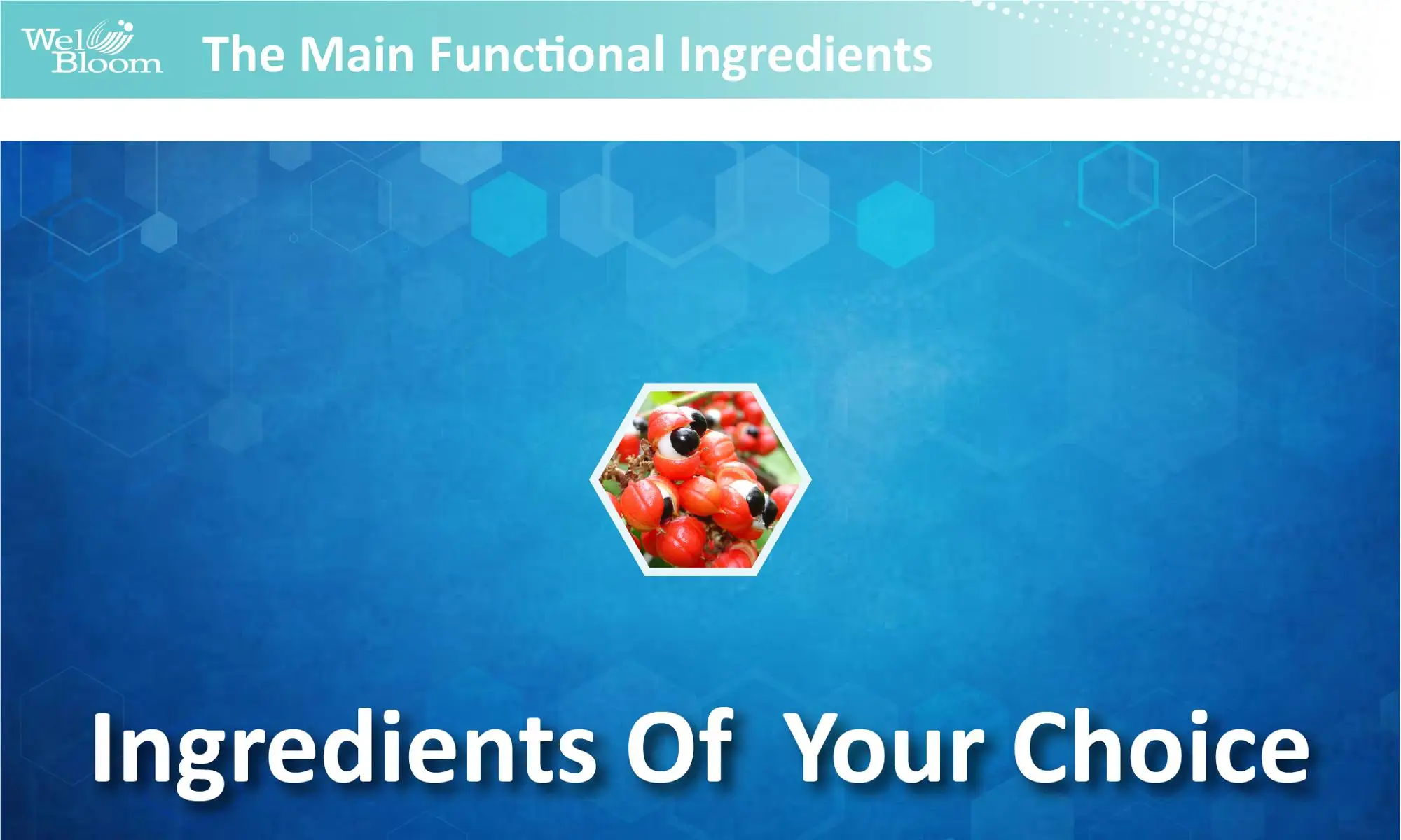 Body Wellness Vitamins B Complex Health Food Dietary Supplement